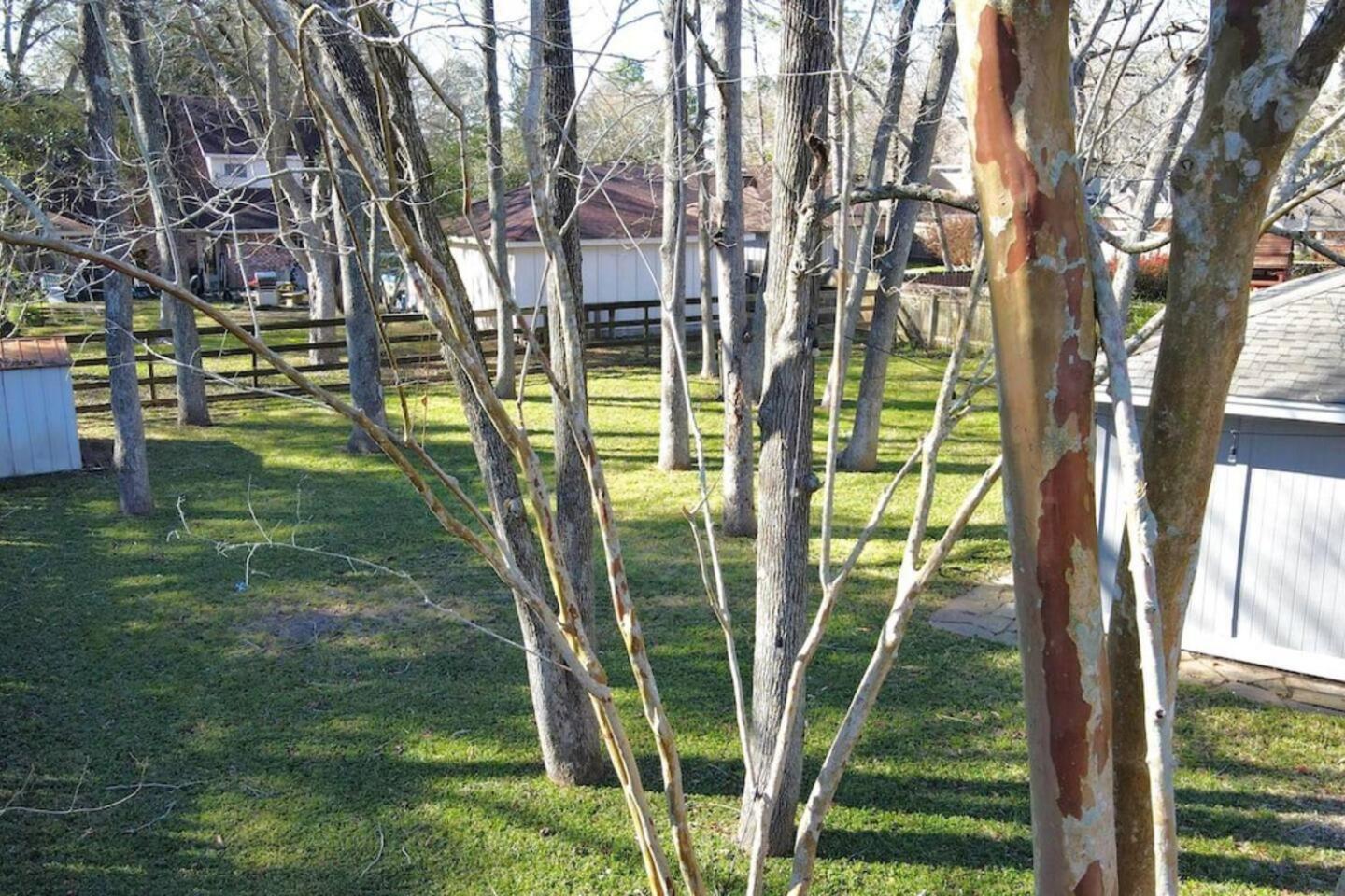 فيلا Sunmeadow Manor Retreat Friendswood المظهر الخارجي الصورة